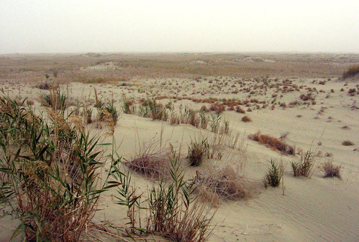 A área da perfuração fica no interior do deserto de Taklimakan, o maior da China e um dos maiores do mundo.