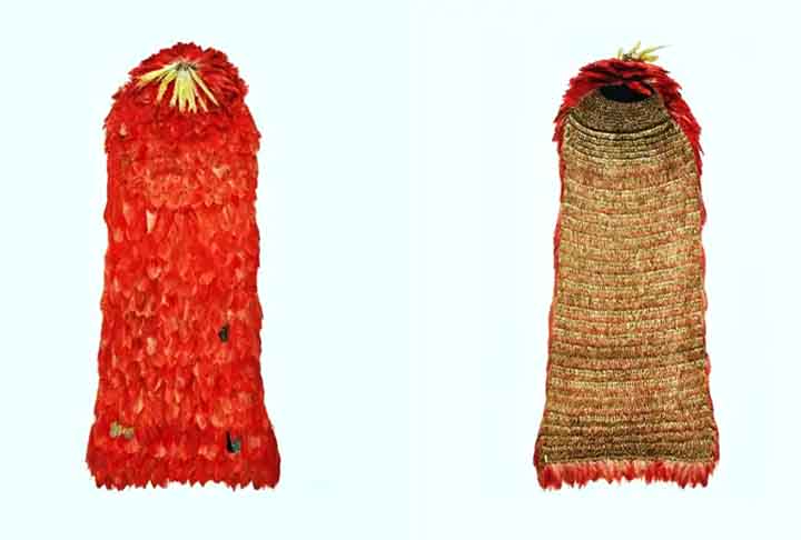 O elemento-chave na cultura Tupinambá tinha significado ritualístico e simbólico relacionado às hierarquias sociais e ao poder dentro da tribo. Era, muitas vezes, usado como roupa cerimonial pelos povos indígenas costeiros.