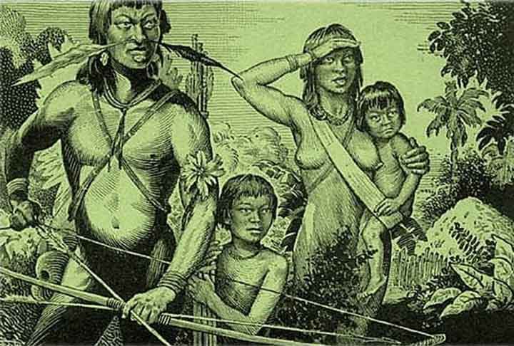 Oito anos depois, em abril de 2009, a primeira fase para a demarcação do território foi concluída, com a publicação do resumo do relatório de identificação e delimitação da Terra Indígena Tupinambá de Olivença.