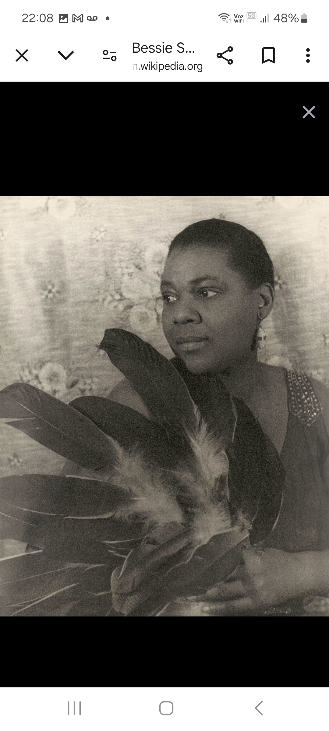 Bessie Smith: Conhecida como a Imperatriz do Blues, Bessie  foi uma das primeiras grandes cantoras de blues e uma das mais influentes vocalistas do século XX. Suas gravações nos anos 1920 e 1930, como Downhearted Blues, ajudaram a popularizar o blues e abriram caminho para outras cantoras afro-americanas.