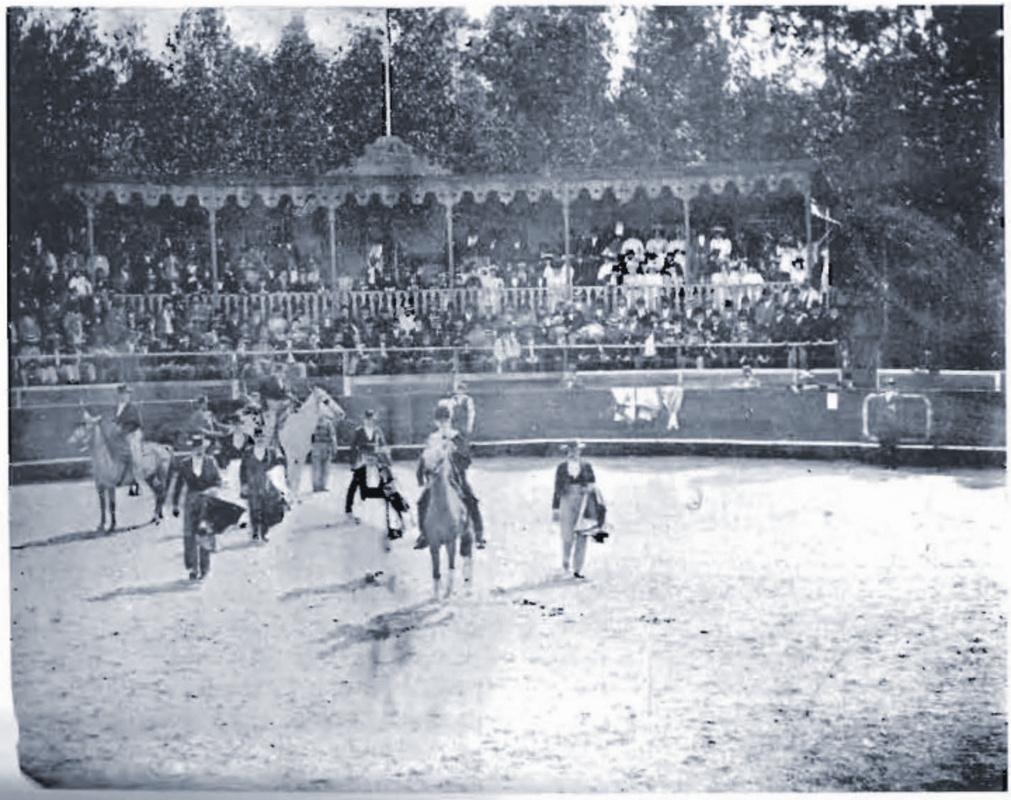 Ao longo do século 17, a tauromaquia se profissionalizou na Espanha com a criação de regras e técnicas específicas.