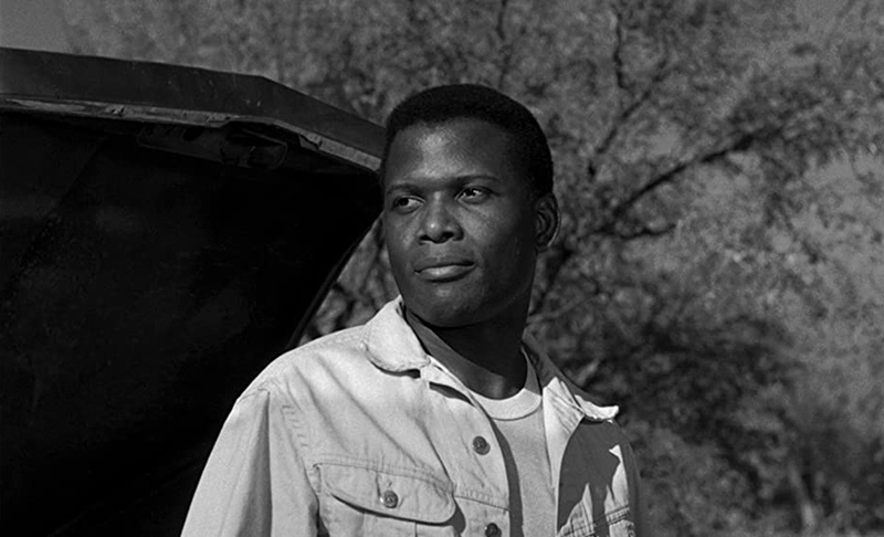 Poitier fez dezenas de filmes. Alguns deixaram uma forte marca em sua carreira e na própria história do cinema pelo vigor das narrativas.   