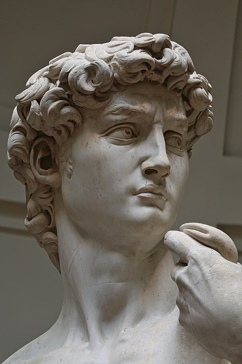O gênio de Michelangelo já havia causado assombro outras vezes. Em 8/9/1504, a estátua de David foi exibida pela primeira vez, em frente ao Palazzo della Signoria, sede do governo de Florença na época..