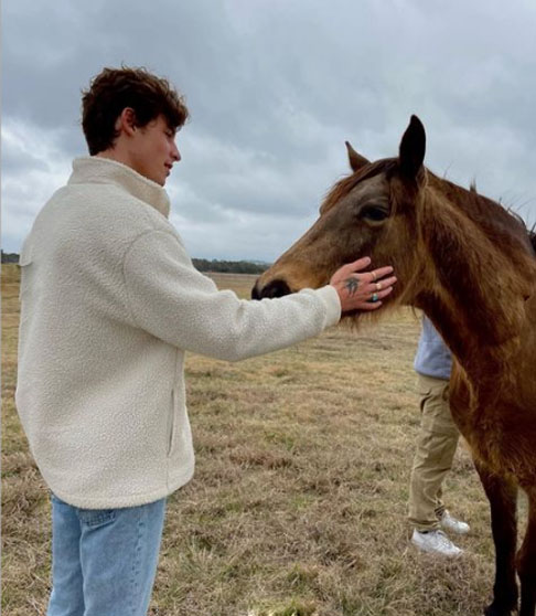 O álbum Shawn Mendes, lançado em 25 de maio de 2018, recebeu críticas positivas e estreou em primeiro lugar nas paradas de vários países, incluindo os EUA e o Canadá.