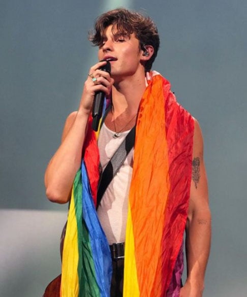 Com isso, com apenas 15 anos, Mendes se tornou o artista mais jovem a ter uma canção de estreia no Top 25.