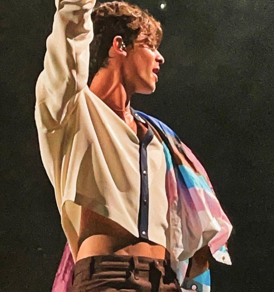 Com uma carreira repleta de sucessos, Mendes continua a conquistar corações em todo o mundo, incluindo o Brasil, onde sua base de fãs é imensa. Dessa forma, saiba mais sobre o canadense queridinho do público.