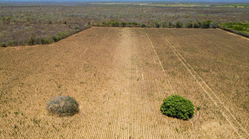 ￼DESERTIFICAÇÃO no Sertão Central do Ceará  