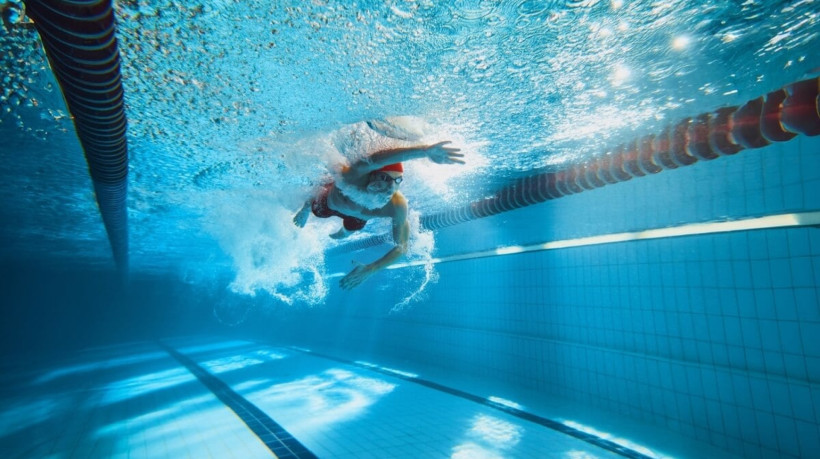 A natação envolve praticamente todos os grupos musculares e traz uma série de benefícios para o corpo (Imagem: Master1305 | Shutterstock)