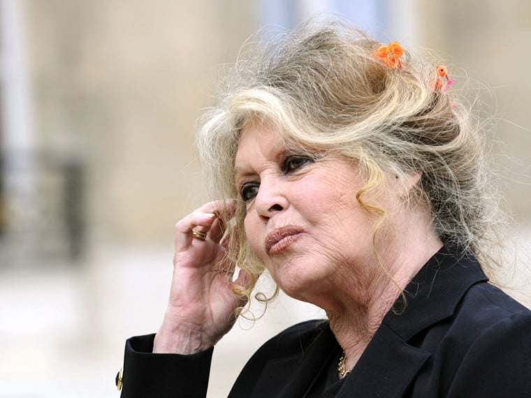 Brigitte Bardot aposentou-se das telas na d&eacute;cada de 1970 e seguiu como ativista da causa animal