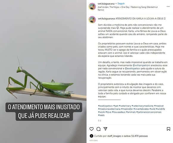 E ele acrescentou: Agora, quando me perguntarem que animal mais estranho que eu já atendi na clínica, a minha resposta, certamente, vai ser: louva-a-deus. A cirurgia, inicialmente, deu certo. Mas depois o louva-a-deus acabou morrendo. 