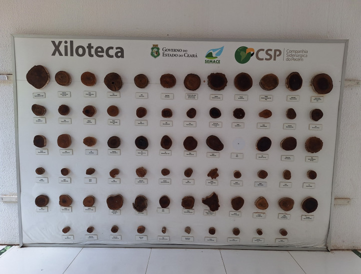 Parque Estadual Botânico do Ceará, na Caucaia, Grande Fortaleza, hospeda programação em alusão ao aniversário de 28 anos da Unidade de Conservação