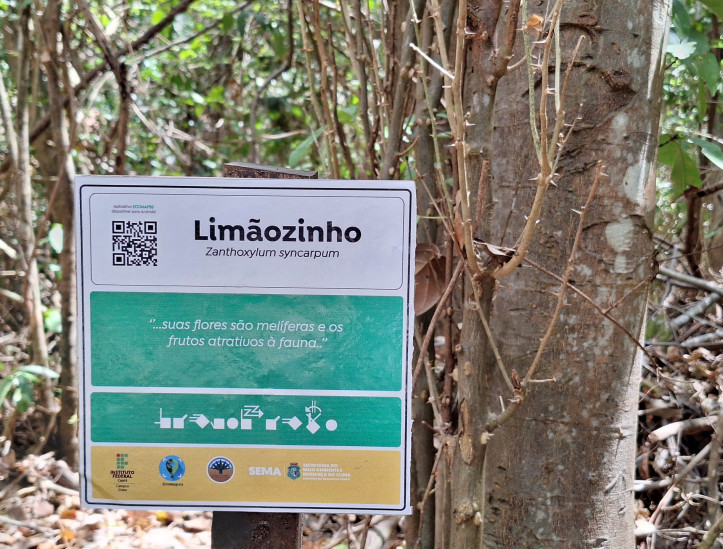 Placas informativas nas trilhas do Parque Estadual Botânico do Ceará foram requalificadas com apoio estudantes e professores do IFCE
