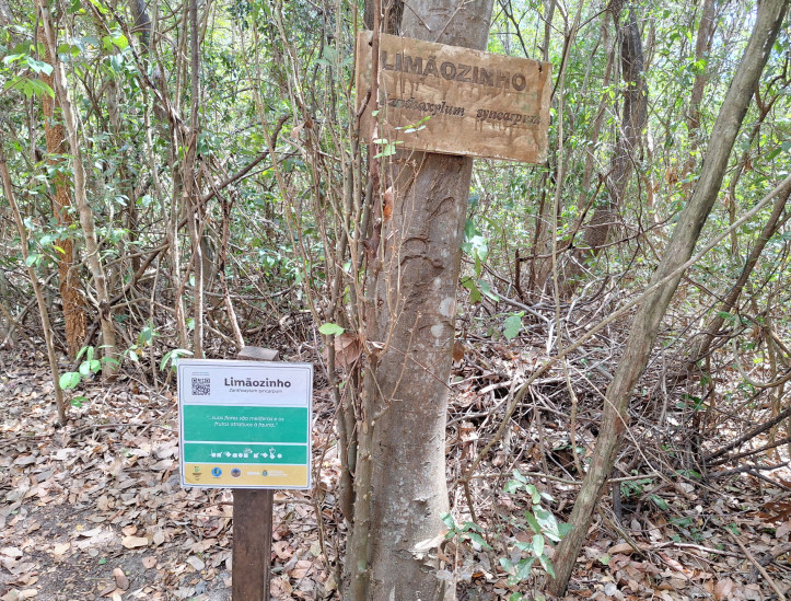 Placas informativas nas trilhas do Parque Estadual Botânico do Ceará foram requalificadas com apoio estudantes e professores do IFCE