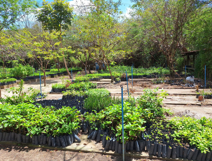 Parque Estadual Botânico do Ceará, na Caucaia, Grande Fortaleza, hospeda programação em alusão ao aniversário de 28 anos da Unidade de Conservação