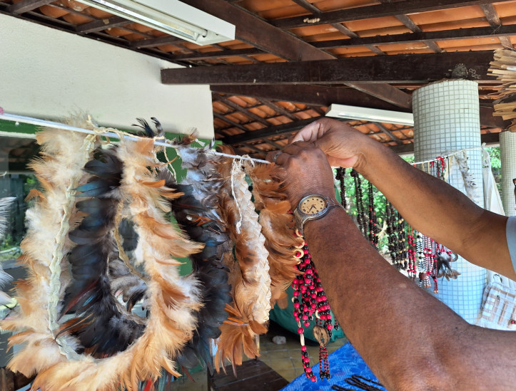 Parque Estadual Botânico do Ceará, na Caucaia, Grande Fortaleza, hospeda programação em alusão ao aniversário de 28 anos da Unidade de Conservação