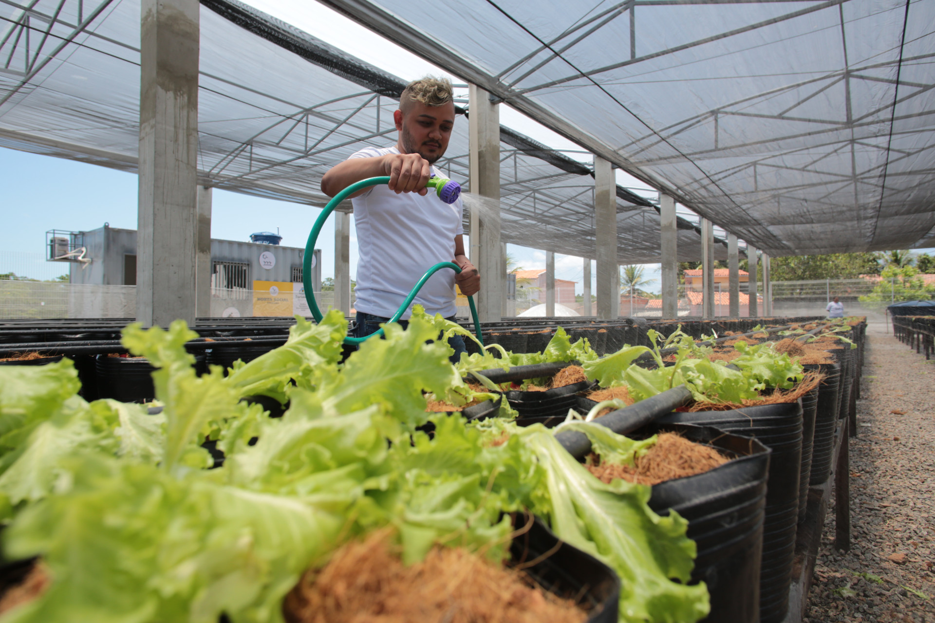 Horta Social é ativada no bairro Sapiranga e abre cadastro para público nesta quarta-feira, 2