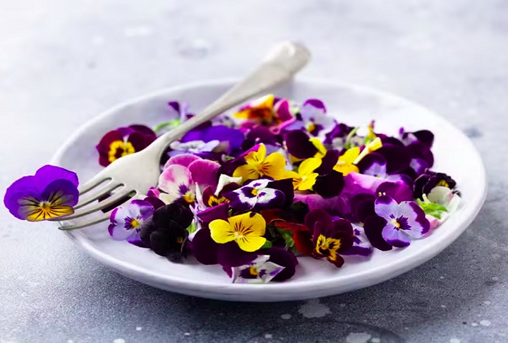 Uma pesquisa realizada pela engenheira agrônoma Lais Rosseto, identificou a existência de 90 produtores de flores comestíveis no Brasil, incluindo ela mesma.