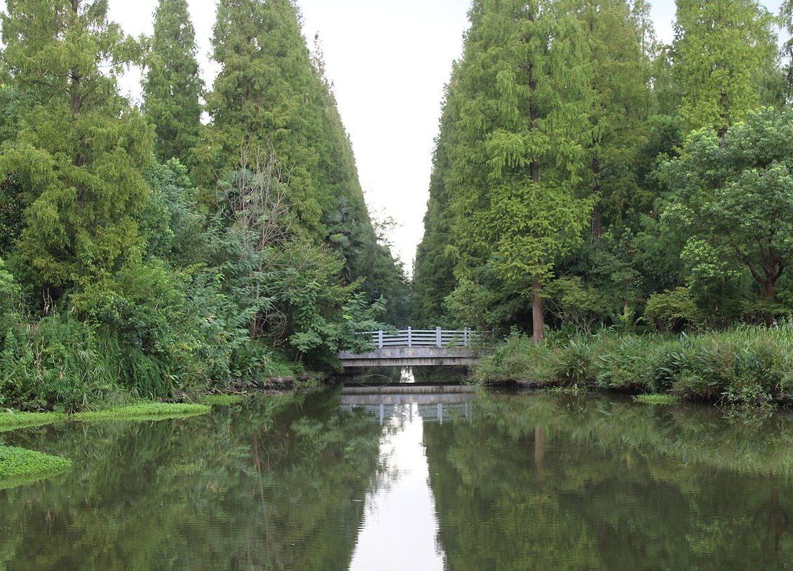 Ilha de Chongming, China (área: 1.220 km²): É a terceira maior ilha da China, e funciona como uma importante área agrícola e industrial.