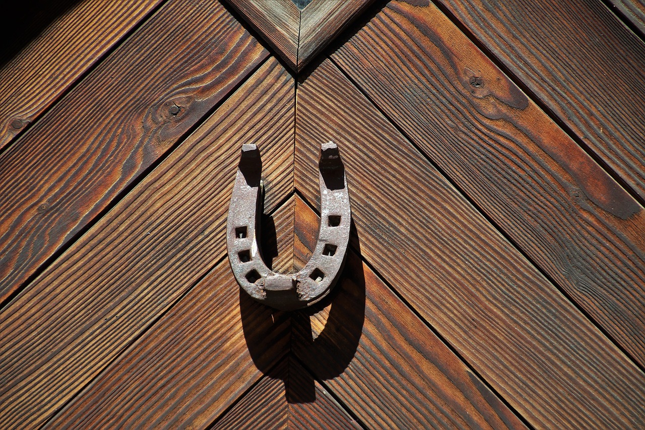 Ferradura- O objeto está associado à sorte e proteção, é um amuleto comum feito de ferro. Pendurá-la acima da porta remonta à Roma antiga para afastar os maus espíritos. Em várias culturas, é considerado auspicioso pendurá-la com as pontas para cima para segurar a sorte.