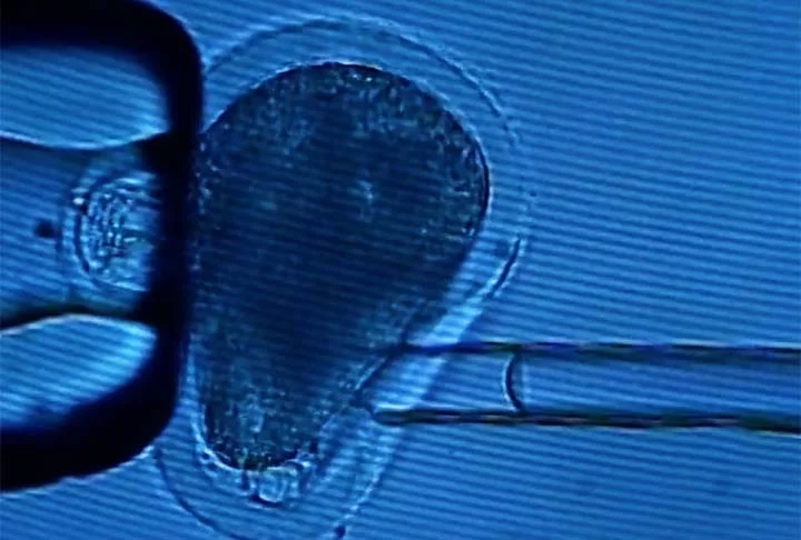 Em 2013, a revista científica Cell divulgou estudo de um grupo da Universidade de Saúde e Ciência de Oregon, nos Estados Unidos, que resultou na clonagem bem-sucedida de um embrião humano. 
