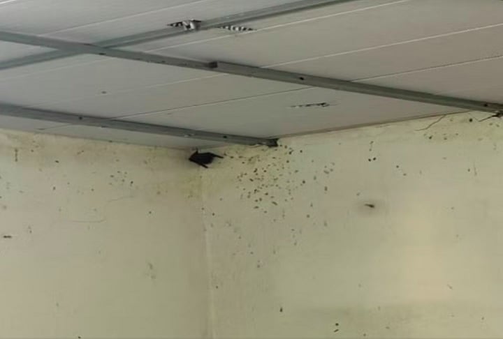 De acordo com o relatório, obtido pelo g1, os fiscais relataram que os alojamentos dos funcionários não tinham banheiros, as camas eram improvisadas, além de ter infestação de morcegos e fezes. 