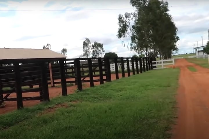 Os outros 12 empregados desempenhavam tarefas variadas, como preparação do solo para a plantação de soja, manutenção das cercas, entre outras atividades.