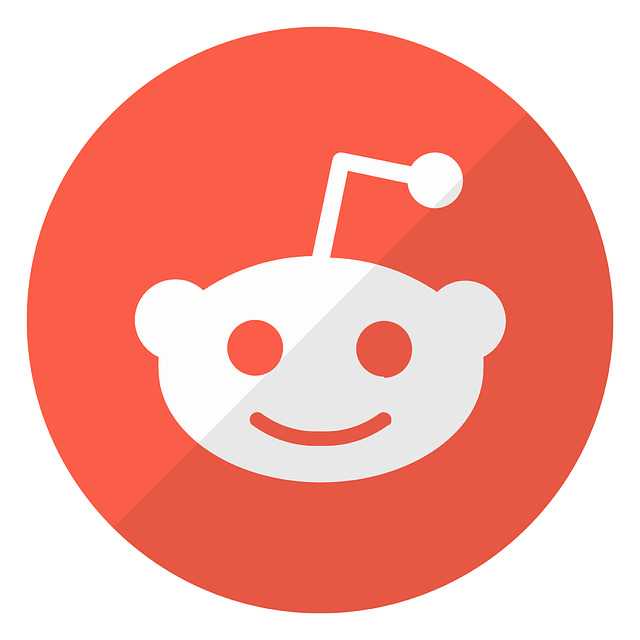 O Reddit só está disponível apenas em inglês. No site ou no aplicativo, é possível criar um perfil com endereço de e-mail, número de telefone ou ligando aos perfis do Google ou da Apple.