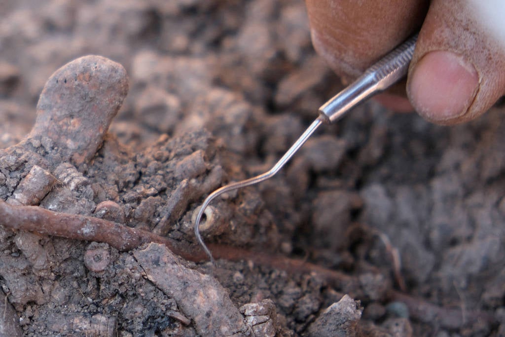 Em um comunicado da Universidade de Ancara, a professora Louise Baysal deu mais detalhes sobre o estudo: “Queríamos descobrir sobre os primeiros exemplos de perfurações corporais, quais materiais foram usados para fins decorativos e quem estava perfurando seus corpos.”
