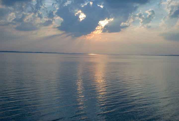 A integridade do Vasa após tanto tempo se explica pela água do Mar Báltico, de baixa temperatura e pobre em oxigênio, condições que afastaram bactérias capazes de consumir sua estrutura. No interior do Vasa foram encontradas ossadas das vítimas do naufrágio. Ao menos 30 das 150 pessoas a bordo morreram.

