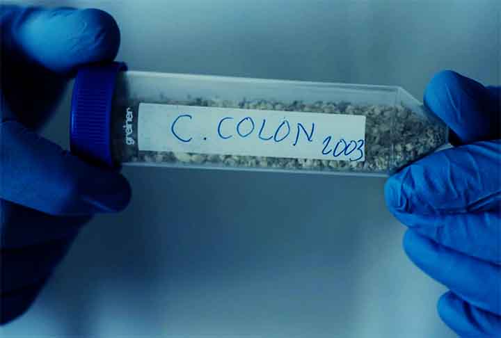 Eles divulgaram o resultado no documentário Columbus DNA: His True Origin (O DNA de Colombo: Sua verdadeira origem), exibido na emissora nacional espanhola RTVE. 