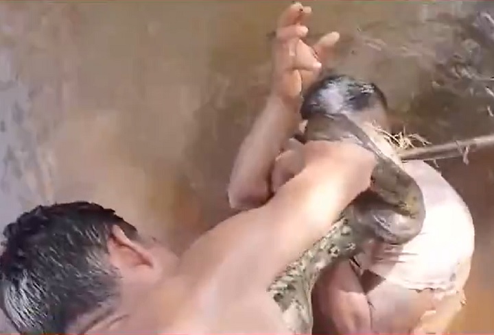 As imagens mostram a serpente se enrolando no corpo da vítima, enquanto pessoas ao redor tentam intervir, puxando a sucuri pela cauda na esperança de libertar o homem.