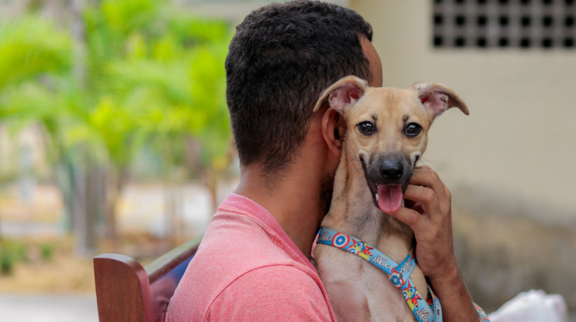 Entenda sobre as leis de proteção animal no Ceará