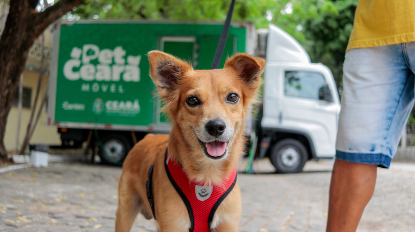 Pet Cear&aacute; M&oacute;vel atende no bairro Jo&atilde;o XXIII, em Fortaleza, durante o feriado do Carnaval.
