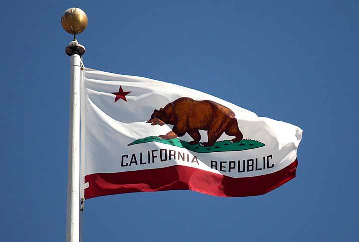 São Francisco (EUA) - Urso: O urso é um símbolo da cidade desde a fundação da Califórnia. O famoso Urso da Califórnia representa força e resistência, e aparece no estado de bandeira desde 1846.