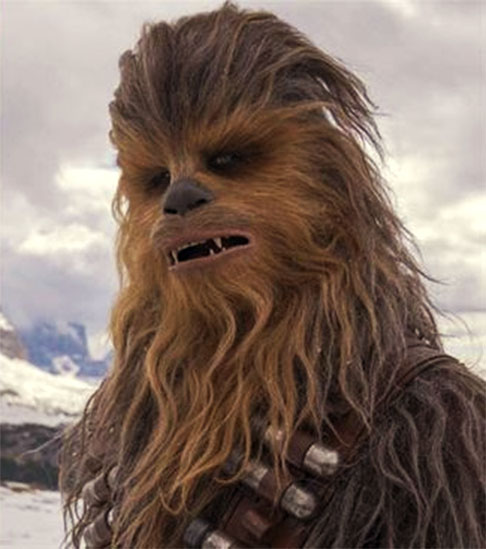 Peter Mayhew (1944 - 2019) - Chewbacca  - O ator britânico, nascido em 19/5/1944, morreu em 30/4/2019, aos 74 anos