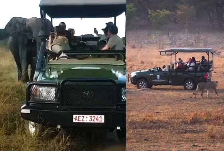 Com uma rica variedade de vida selvagem e menor número de turistas, é ideal para quem busca uma experiência mais tranquila e autêntica