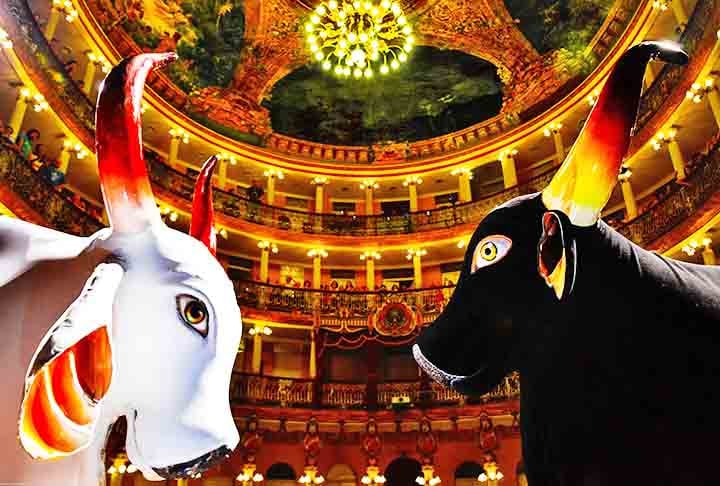 A disputa entre os bois Garantido e Caprichoso no Festival de Parintins começou em 1966, um ano após a primeira edição oficial do evento