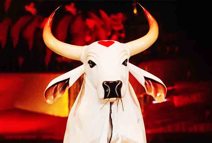 O Boi Garantido é caracterizado pela cor vermelha e tem como símbolo um boi com coração na testa. Ele representa a tradição mais ligada ao povo, com uma temática de alegria e simplicidade