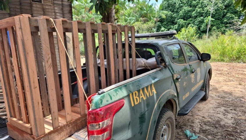 O mamífero de 3 anos e 280 kg foi apelidado de Fred pelos moradores da comunidade e tornou-se um xodó local. Agentes do Ibama fizeram uma operação com a Polícia Militar do Amapá para transportar a anta em uma jaula, mas a empreitada não teve sucesso. 
