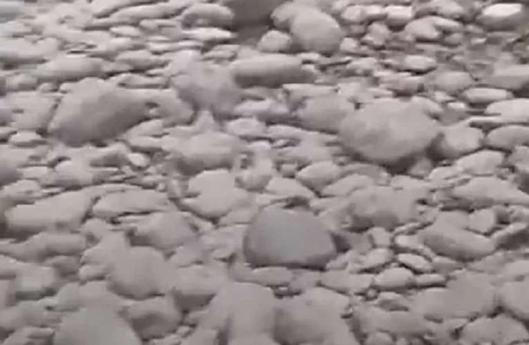 Fato número 8: Engolem pedras - Pode parecer algo meio sem sentido, mas os crocodilos engolem pedras porque faz bem pro organismo deles. A presença delas no organismo ajudam a triturar os alimentos em seus estômagos.