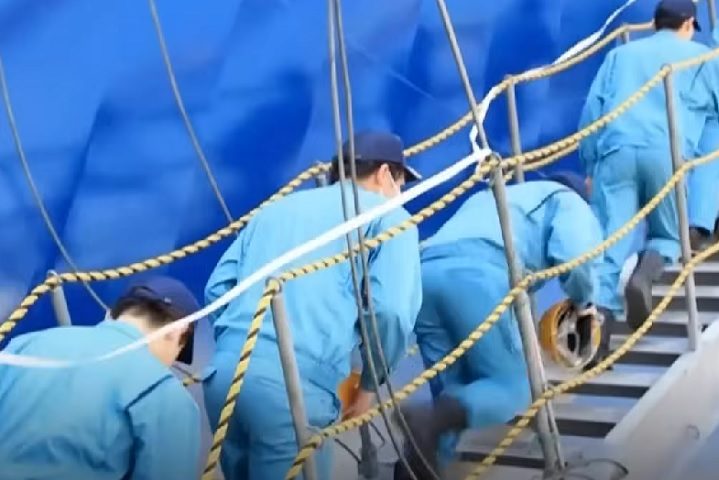 A expectativa é que a expedição na costa nordeste do Japão capture um total de 200 baleias até o fim de 2024.