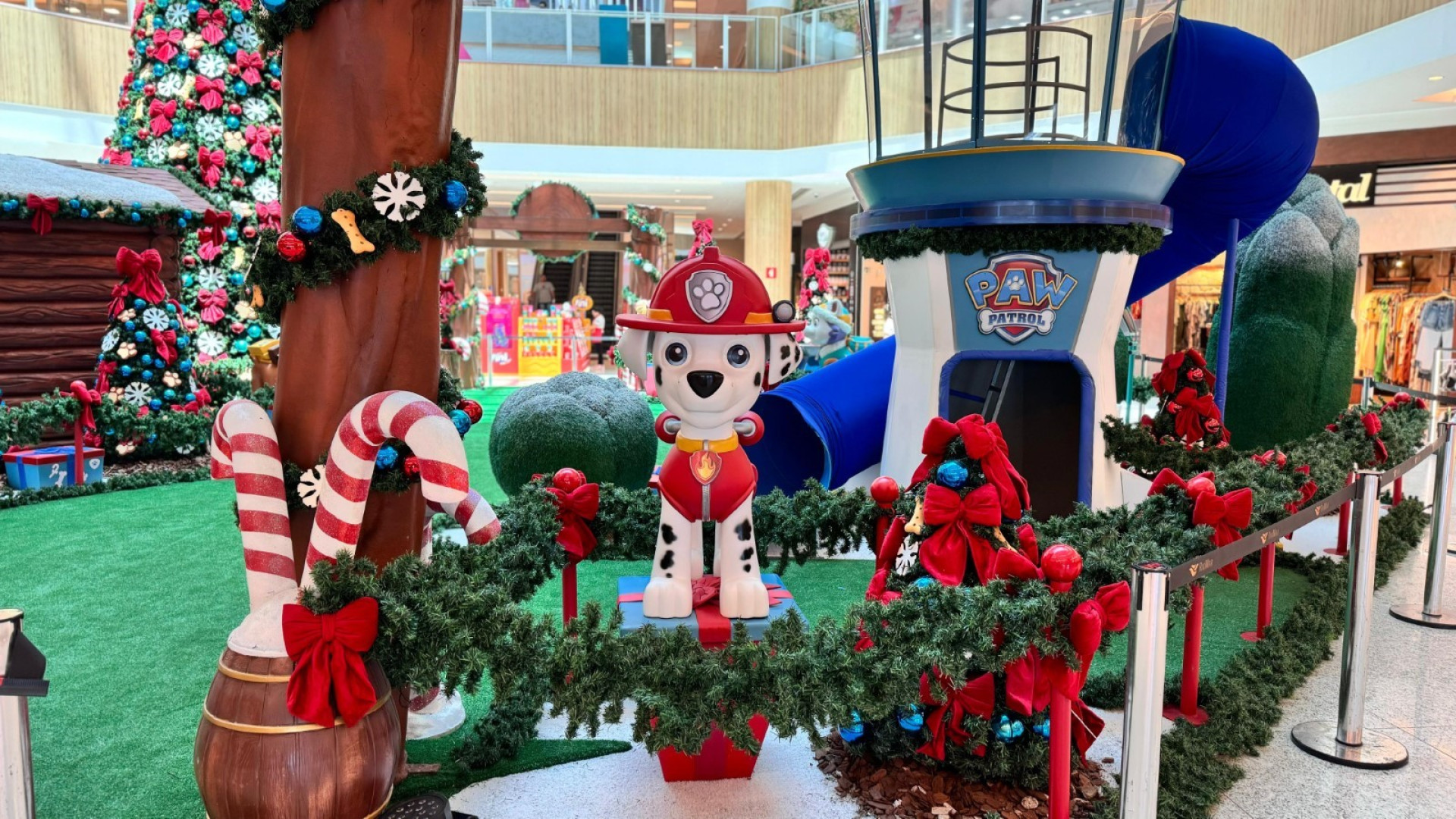 No shopping Riomar Kennedy, Papai Noel terá companhia da Patrulha Canina