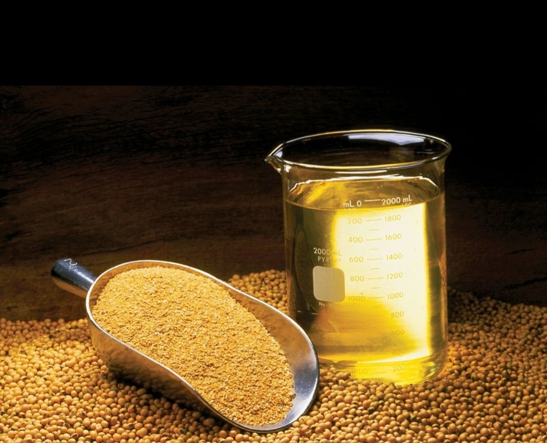 A soja está entre as melhores fontes de proteína à base de plantas. Ela pode ser consumida na forma de grãos, mas também existem produtos preparados à base desse alimento.