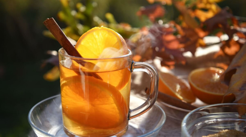 Chá de canela com laranja (Imagem: Maren Winter | Shutterstock)