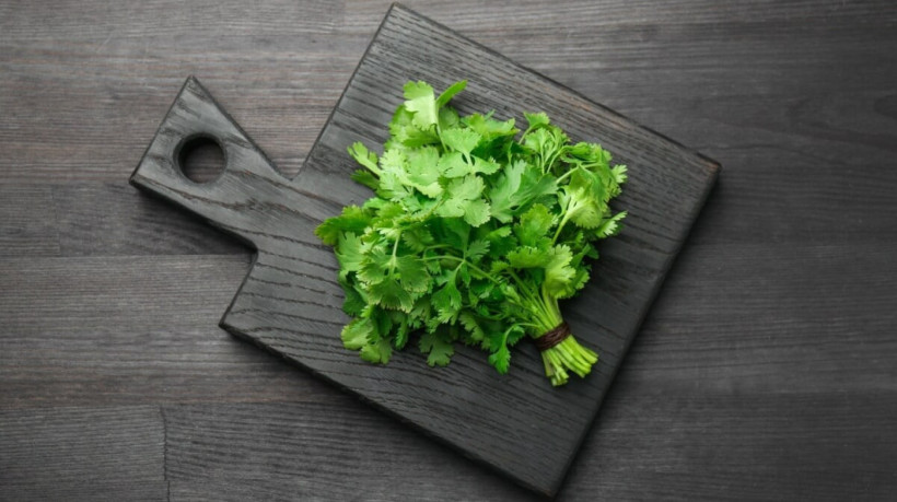 Além de adicionar sabor aos pratos, o coentro também favorece a saúde (Imagem: New Africa | Shutterstock)