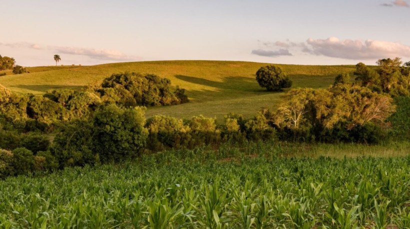 Na viagem com o Trem dos Pampas é possível conhecer a região da fronteira do Brasil com o Uruguai (Imagem: DR Moura | Shutterstock)