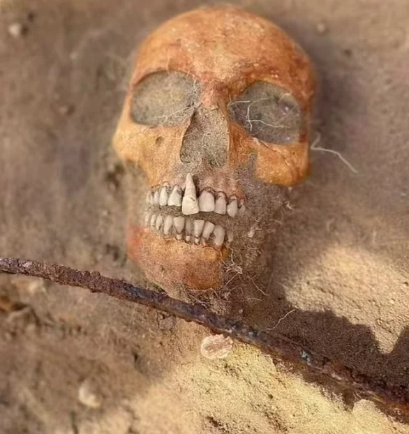 Arqueólogos acharam o esqueleto de uma jovem com idade estimada de 18 anos em condições misteriosas num cemitério rural do século XVII, perto da vila de Pien, na Polônia.