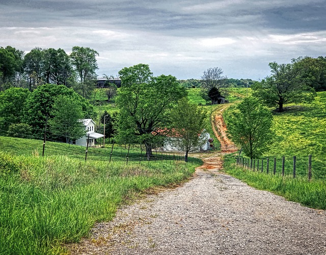 No entanto, após 1850, houve uma tensão entre os amishs e discussões sobre as pressões da sociedade moderna, com conferências entre 1862 e 1878.