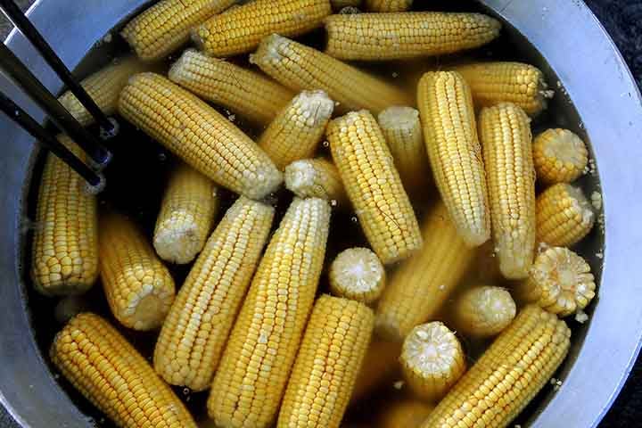 Ele é um cereal rico em carboidratos e o segundo grão mais produzido no território brasileiro. É nutritivo, energético, rico em fibras e em compostos bioativos, que faz parte da culinária nacional.