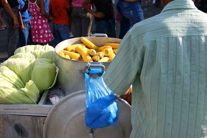 O milho apresenta carotenóides ligados à prevenção de doenças degenerativas da visão, como a zeaxantina e a luteina. Os carotenóides presentes em maior concentração na região macular da retina do olho humano. O que mostra sua importância também na prevenção da cegueira. 
